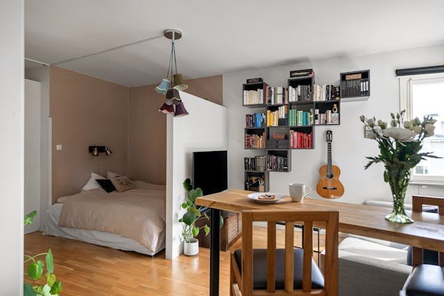 one room apartment decor ideas