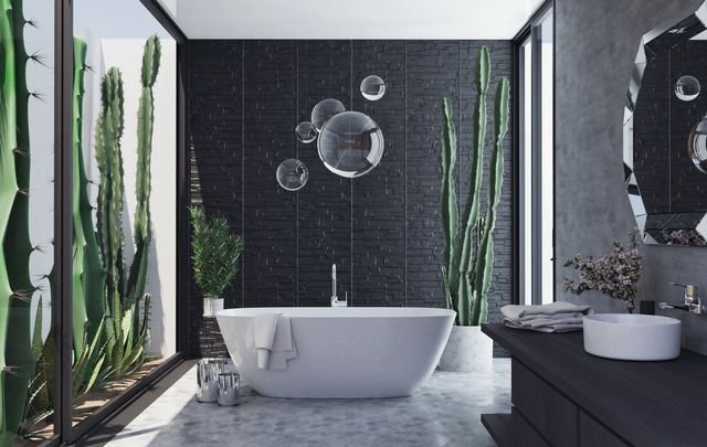 Bathroom Plant Decor: What Actually Survives (And What I’ve Killed Learning That)