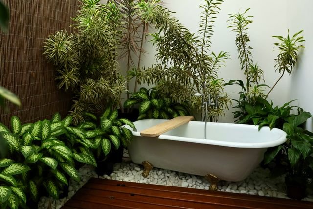 Bathroom plant decor