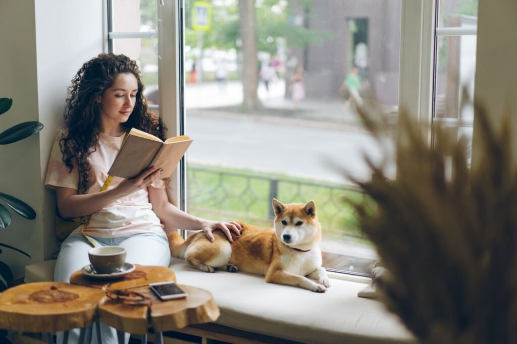 Window Reading Nooks: How I Finally Turned an Awkward Bay Window Into My Favourite Spot in the House